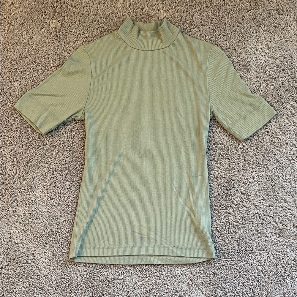 Everlane Sage Ribbed Turtleneck Top